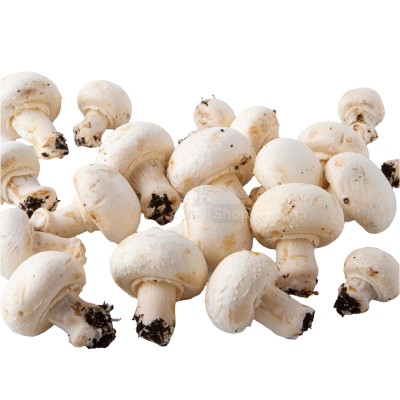 Шампиньоны свежие 500 г - купить в Имянлебаше